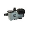 Waterway - Power Defender 165 Variable Speed Pool Pump 1.65 HP, 115/230V