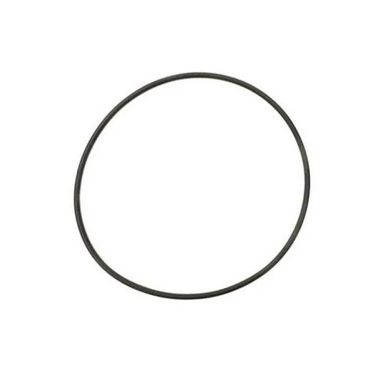 Zodiac - Backplate O-Ring 2 Zodiac - Backplate O-Ring - Image 2