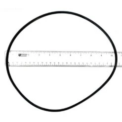 Zodiac - Backplate O-Ring 6 Zodiac - Backplate O-Ring -Pure Pools Store Backplate O Ring 2