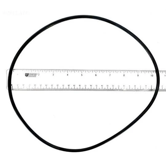 Zodiac - Backplate O-Ring 1 Zodiac - Backplate O-Ring
