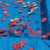 Swimline - 18' X 36' Rectangle In Ground Pool Leaf Net Cover