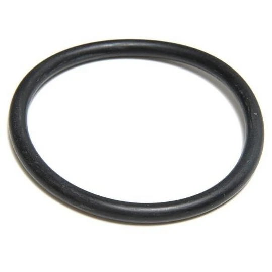 Aladdin Equipment Co - O-Ring For SwimClear C2030, C3030, C4030, C5030, C7030 2 Aladdin Equipment Co - O-Ring For SwimClear C2030, C3030, C4030, C5030, C7030 - Image 2