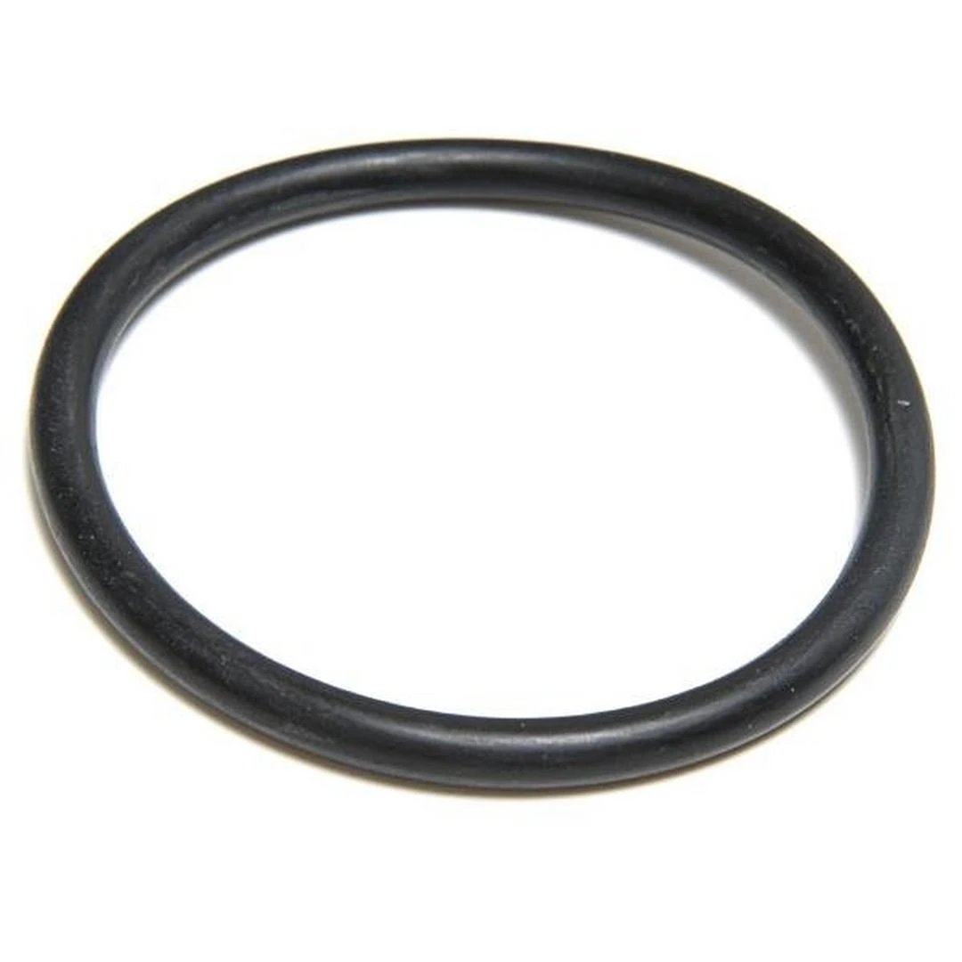 Aladdin Equipment Co - O-Ring For SwimClear C2030, C3030, C4030, C5030, C7030 4 Aladdin Equipment Co - O-Ring For SwimClear C2030, C3030, C4030, C5030, C7030 - Image 4