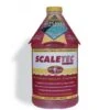 EasyCare - Scaletec Plus Descaler And Stain Remover 64 Oz